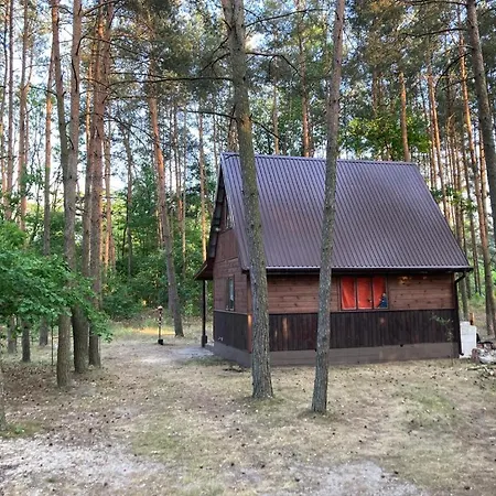 Dom wakacyjny Czekoladowy Nadkole